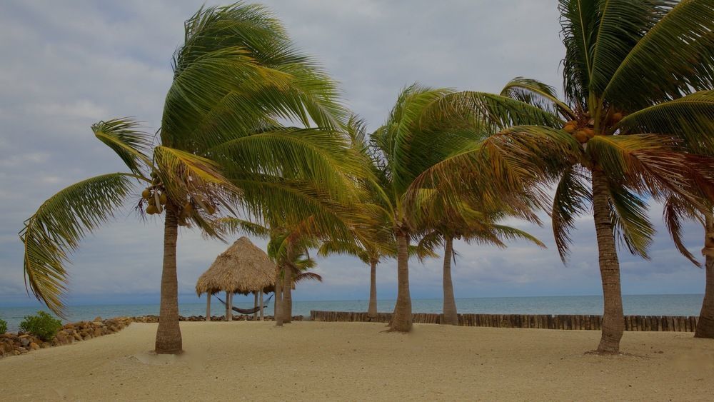 Royal Belize Hotel Thatch Caye Bagian luar foto